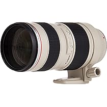 Canon EF 70-200mm f/2.8L USM Telephoto Zoom Lens for Canon SLR