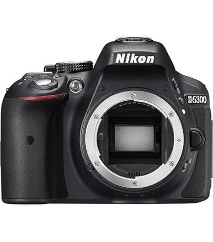 Amazon.com : Nikon D5500 DX-format Digital SLR Body (Black