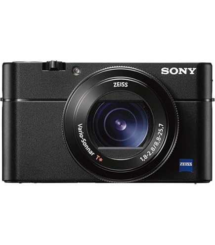 Amazon.com : Sony Cyber-Shot DSC-RX100 V 20.1 MP Digital Still