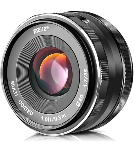 Amazon.com : Sony Alpha 16mm F2.8 Wide-Angle E-Mount Fixed Lens