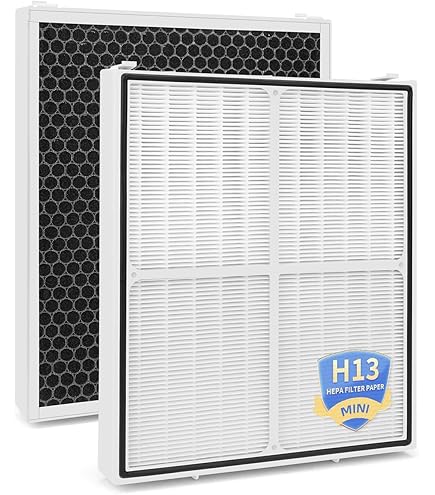 Amazon.com: Replacement 2 IN 1 HEPA Filter For Amway Atmosphere