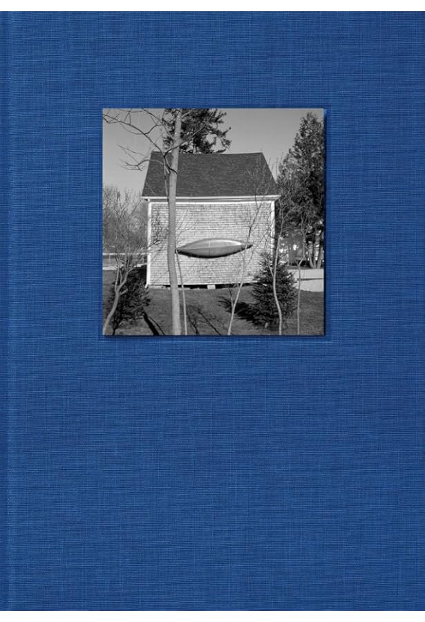 Amazon.com: American Winter: 9781912339235: Gerry Johansson, Gerry