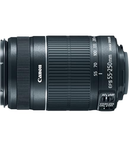 Amazon.com : Canon EF-S 55-250mm f/4-5.6 IS STM Telephoto Zoom