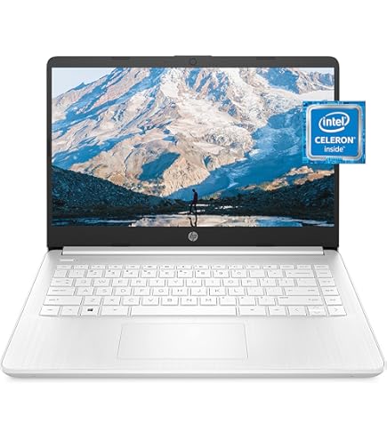 Amazon.com: acer Swift 1 SF114-32-C225 14
