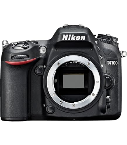 Amazon.com : Nikon D7100 24.1 MP DX-Format CMOS Digital SLR with