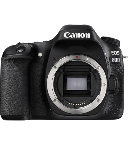 Amazon.com : Canon EOS 80D Digital SLR Kit with EF-S 18-55mm f/3.5