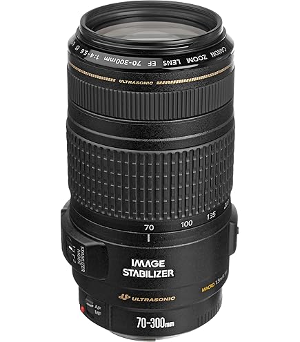 Amazon.com : Sigma 70-300mm f/4-5.6 DG APO Macro Telephoto Zoom