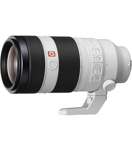 Amazon.com : Sigma 100-400mm F5-6.3 Contemporary DG DN OS for Sony