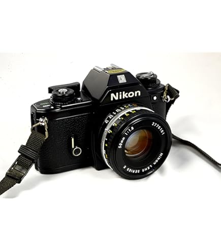 Amazon.com : Nikon F6 AF 35mm Film SLR Camera (Body Only