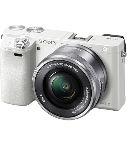 Amazon.com : Sony a5100 16-50mm Mirrorless Digital Camera with 3
