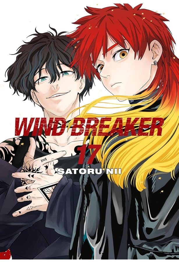WIND BREAKER 19: Nii, Satoru: 9781646519668: Amazon.com: Books