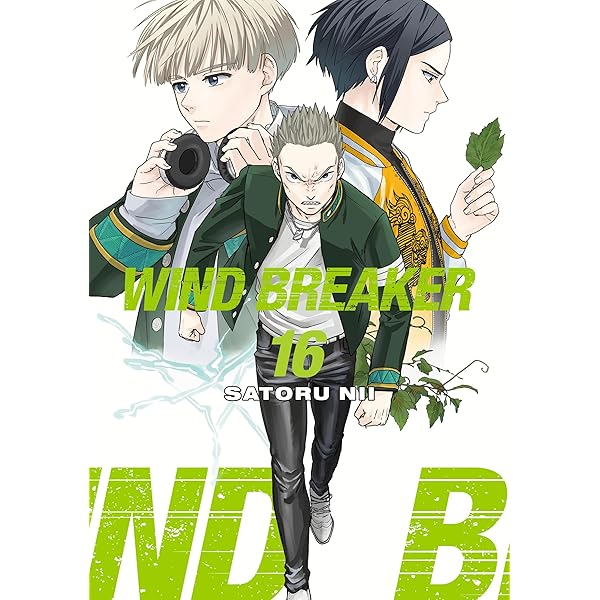 WIND BREAKER 18: Nii, Satoru: 9781646519651: Amazon.com: Books
