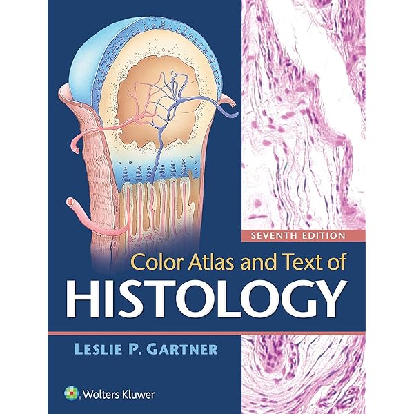 Color Atlas of Microneurosurgery: 9783131111029: Medicine & Health