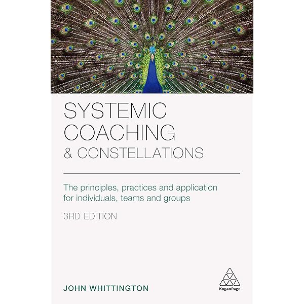 Invisible Dynamics: Systemic Constellations in Organisations and