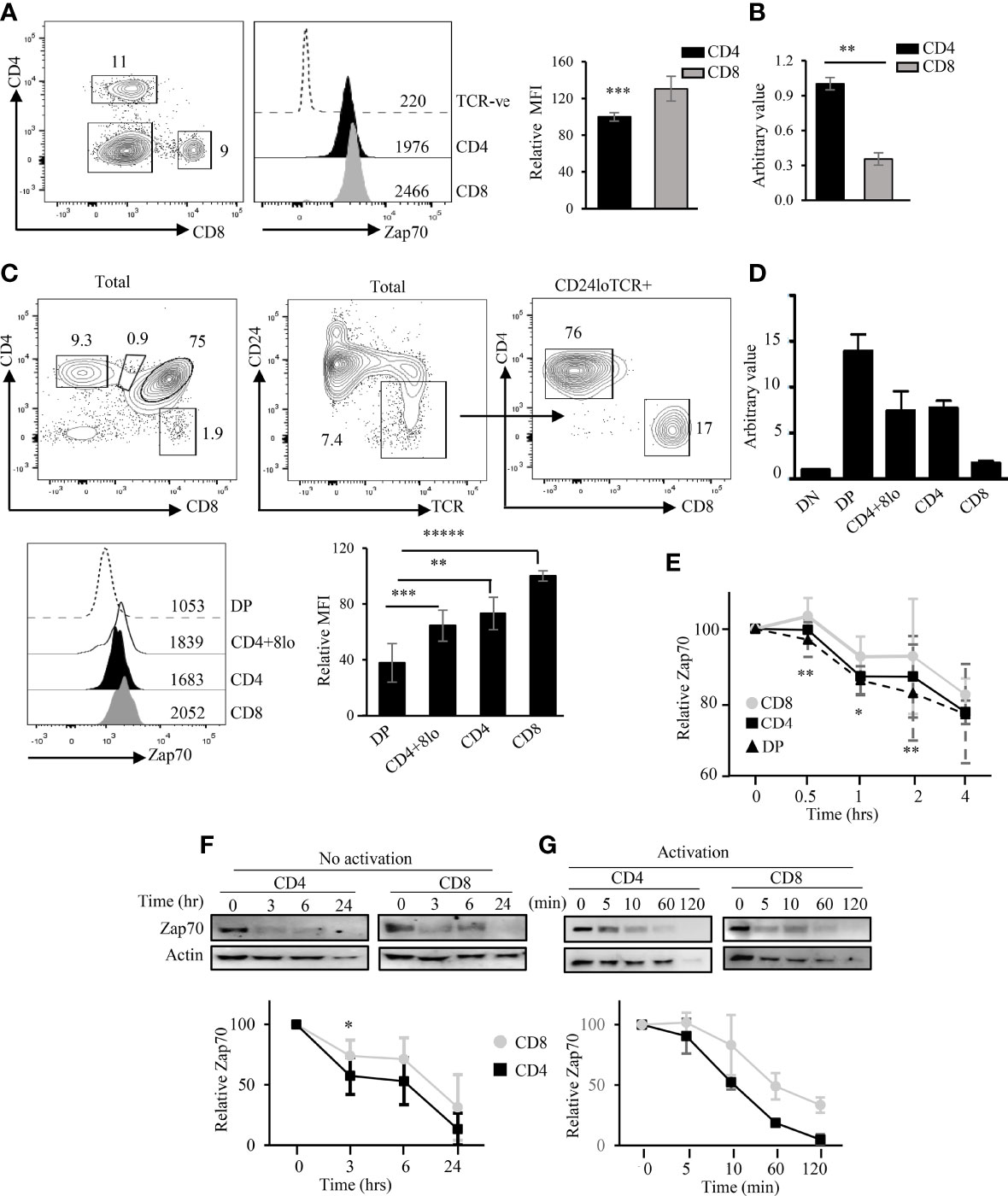 Frontiers | Negative Regulation of Zap70 by Lck Forms the