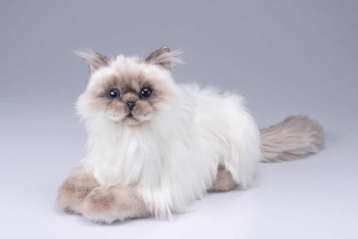 えっ！？ 本物！？ 鳴くよ！ なでなでねこちゃんにヒマラヤン登場