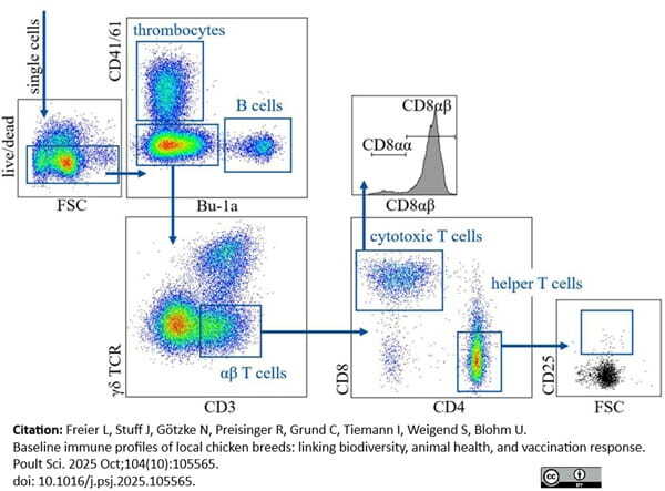 Anti Chicken CD41/CD61 Antibody, clone 11C3 | Bio-Rad