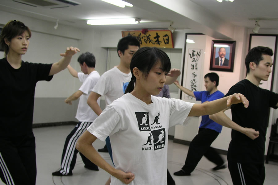 王樹金老師直系 本式の気功・太極拳・形意拳・八卦掌・推手 | 全日本柔