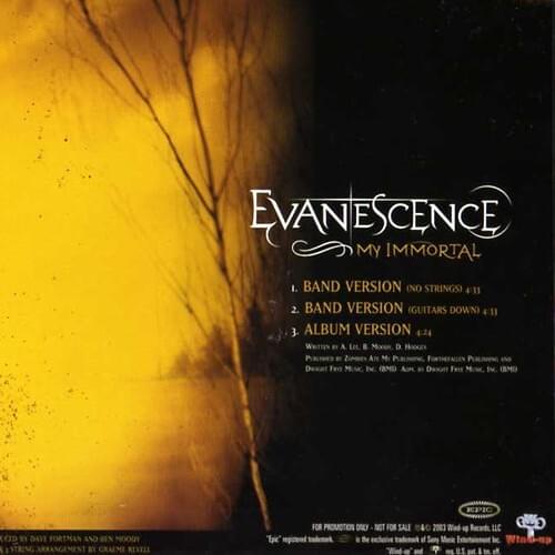 Evanescence - My Immortal - Single (UK) Lyrics and Tracklist | Genius
