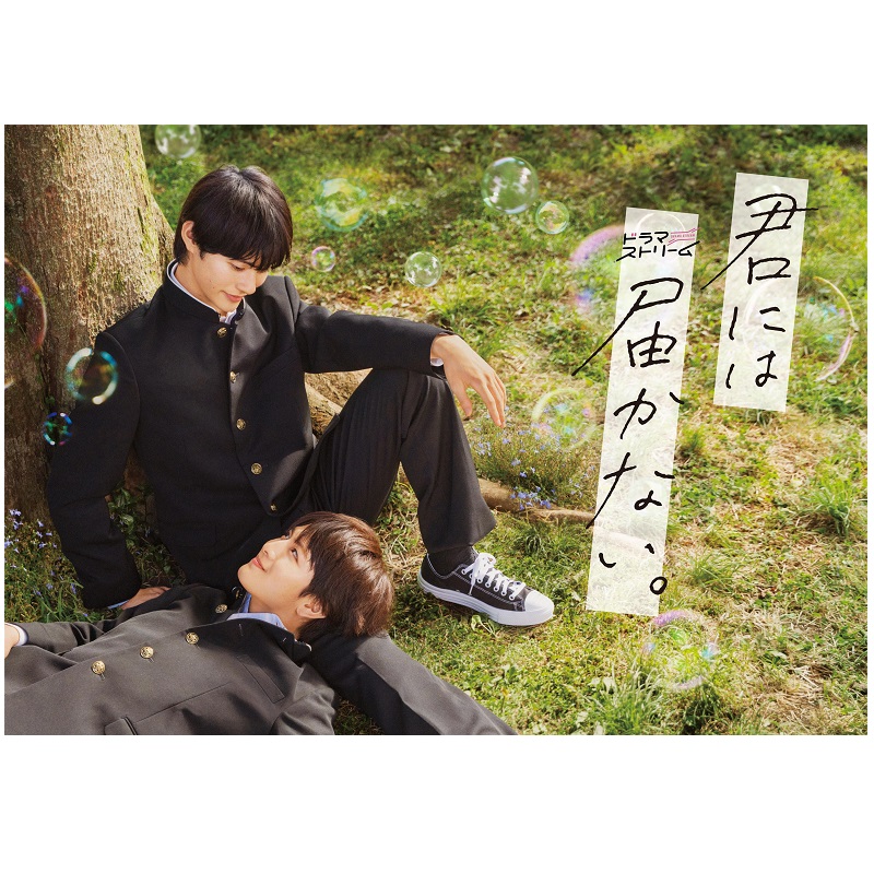 フォンタブ付き】君には届かない。 Blu-ray BOX〈3枚組〉