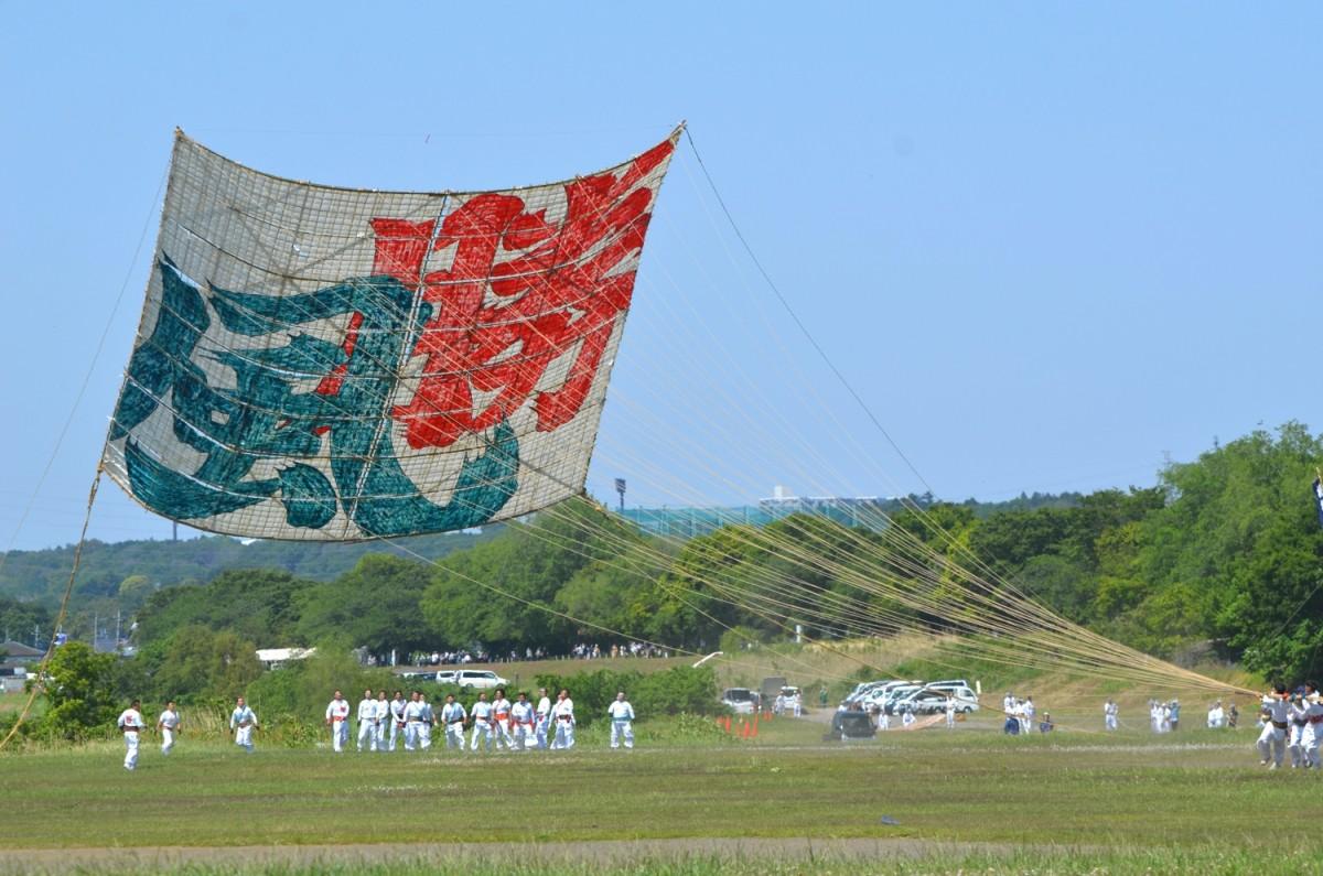 相模原「日本一の大凧」、4年ぶりに舞い上がる - 相模原町田経済新聞