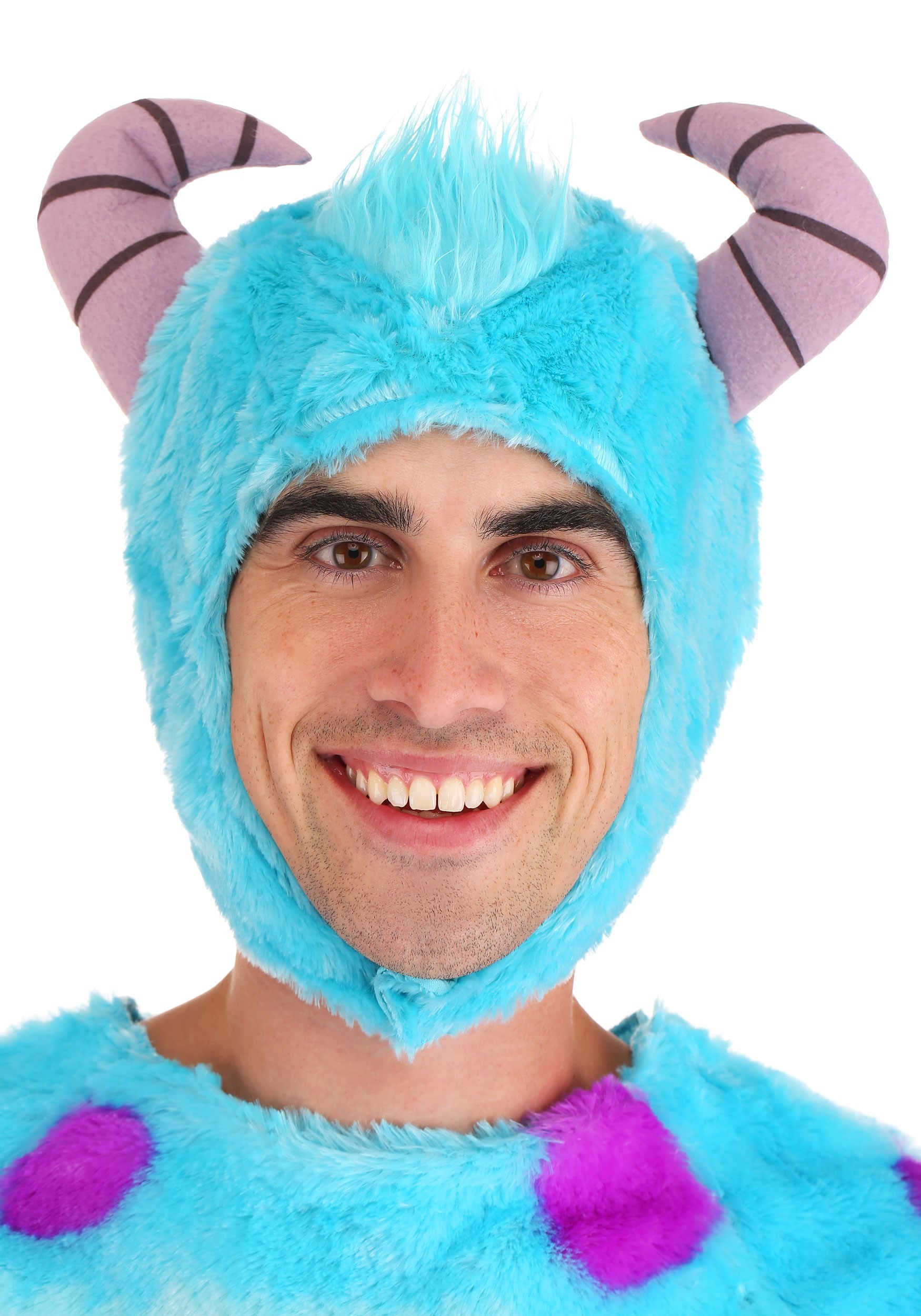 Monsters Inc Sulley Costume for Adults