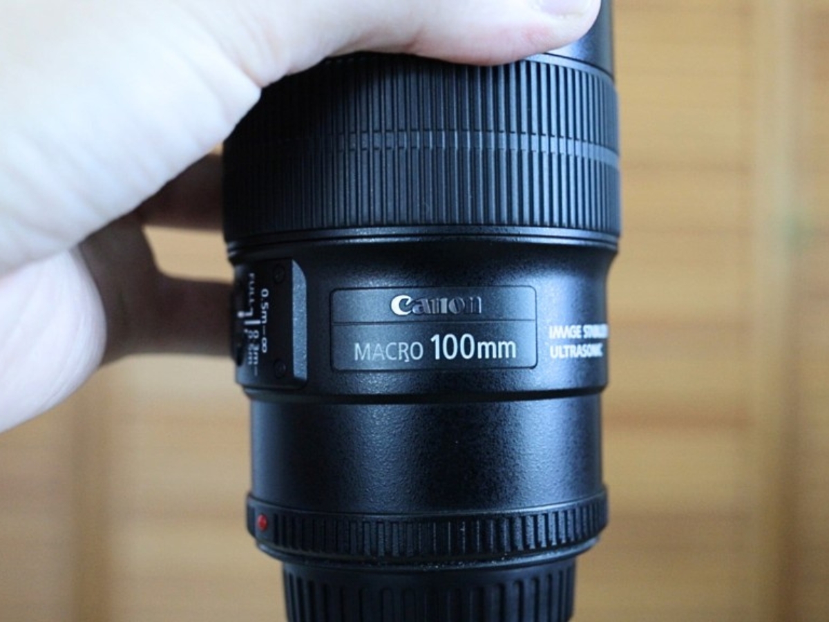 Canon EF 100mm f/2.8L IS Macro Lens Review