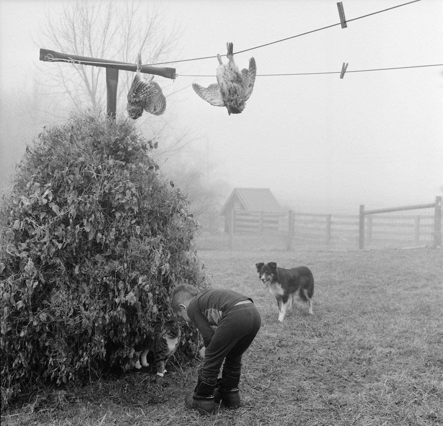 The Seraphim - Photographs by Jesse Lenz | Book review by Justin