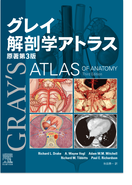 m3電子書籍 | 解剖学講義 第3版