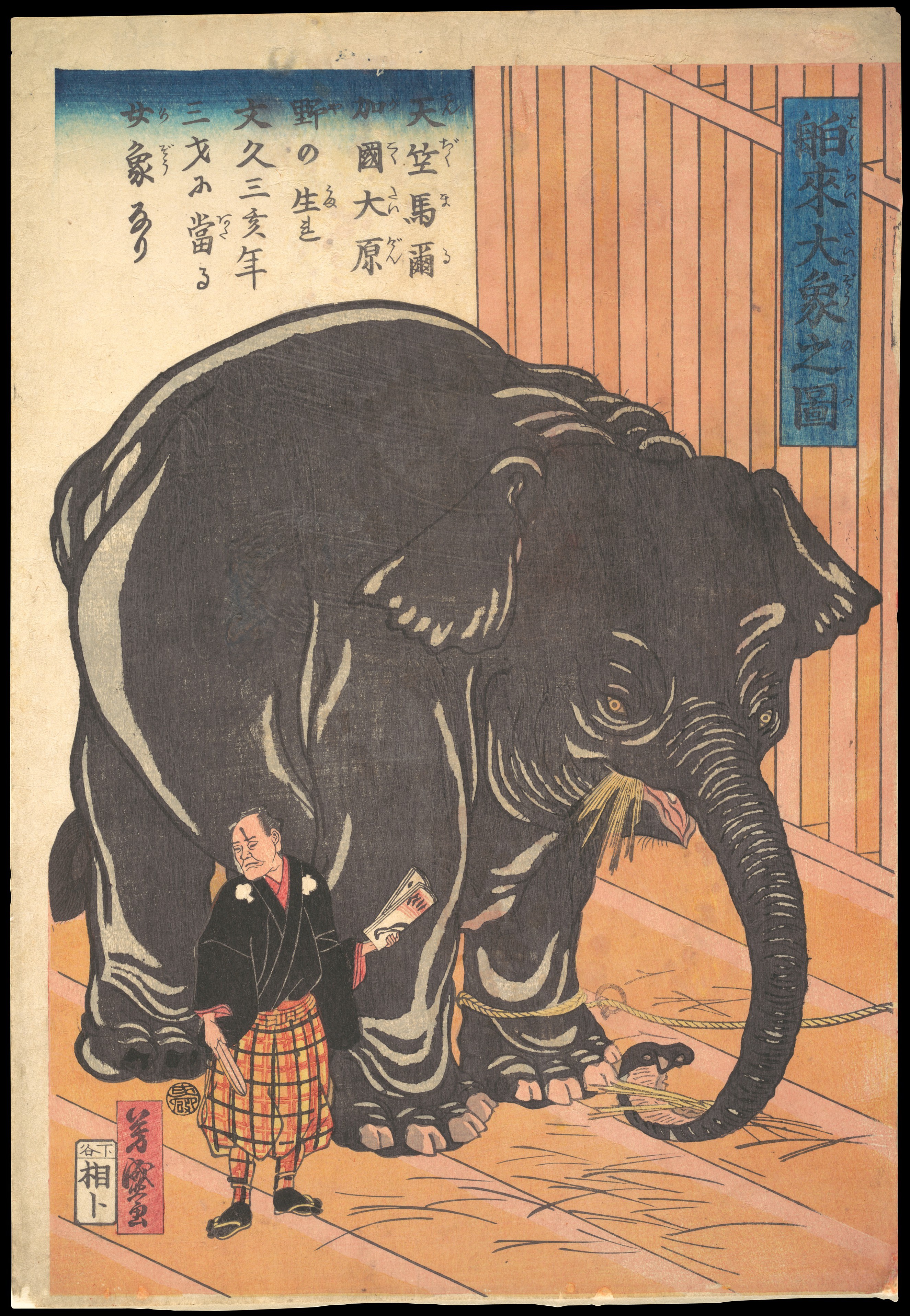 Taguchi (Utagawa) Yoshimori - View of the Large Imported Elephant
