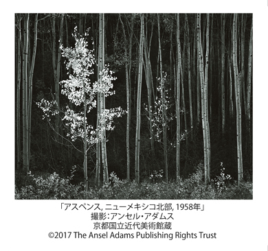 東京ミッドタウン・デザイン部 × FUJIFILM SQUARE】 アンセル