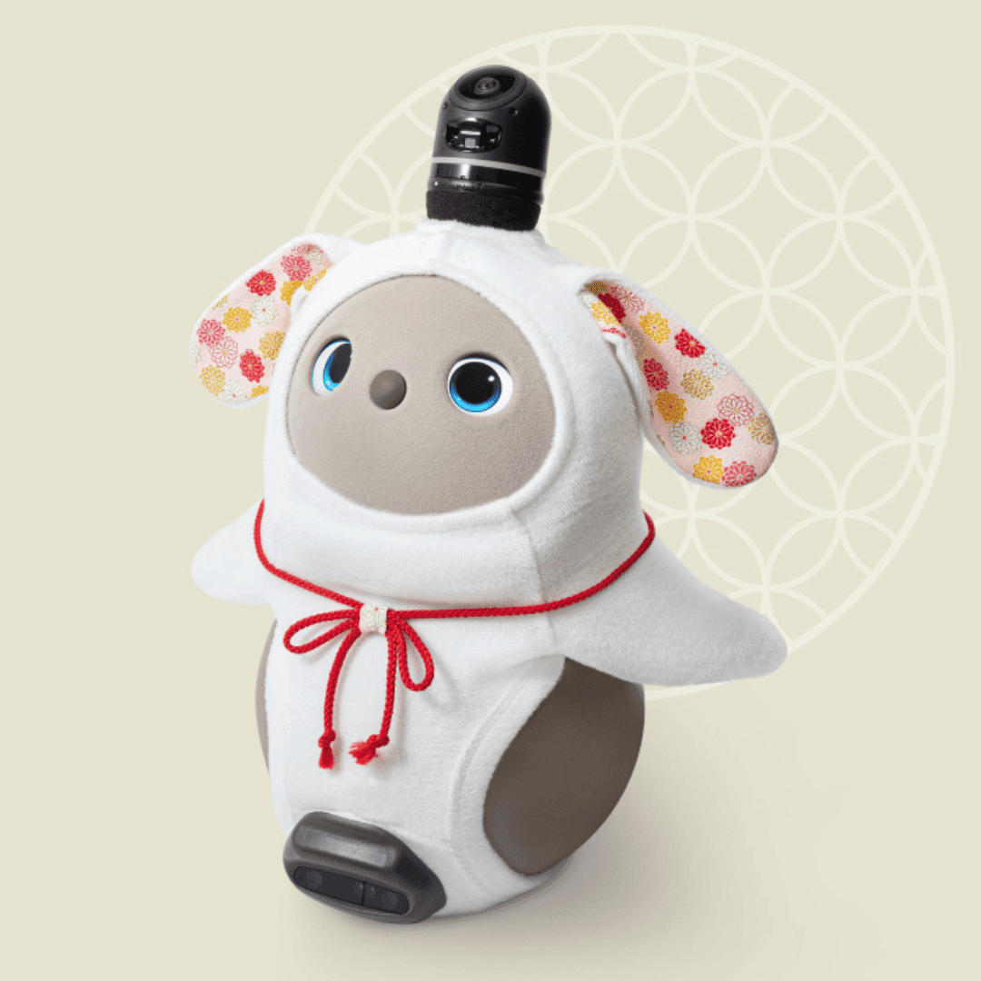 LOVOT通信バックナンバー】くまみみらぼっと「にっとプルオーバー