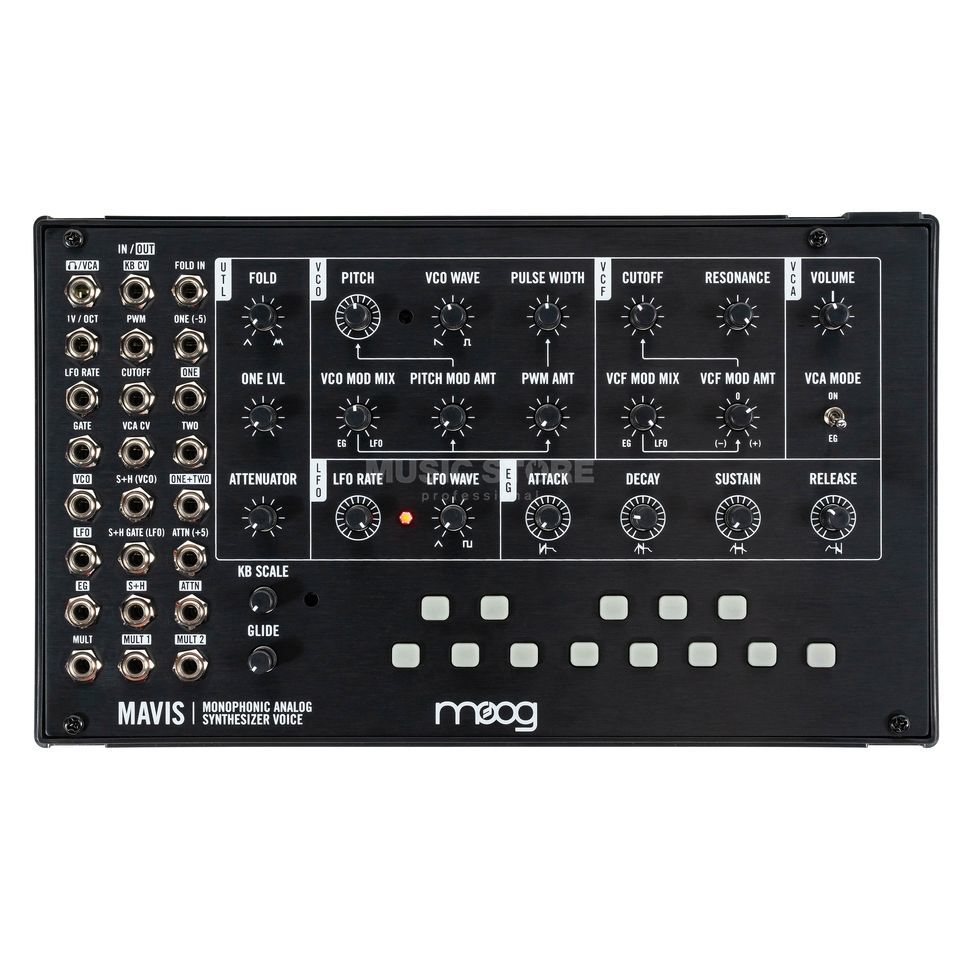 Moog Mavis Synthesizer - buy online | USA