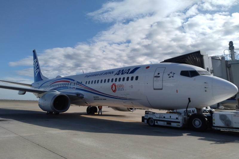 万博機運を醸成…ANAが就航、特別塗装機のデザイン｜ニュースイッチ by