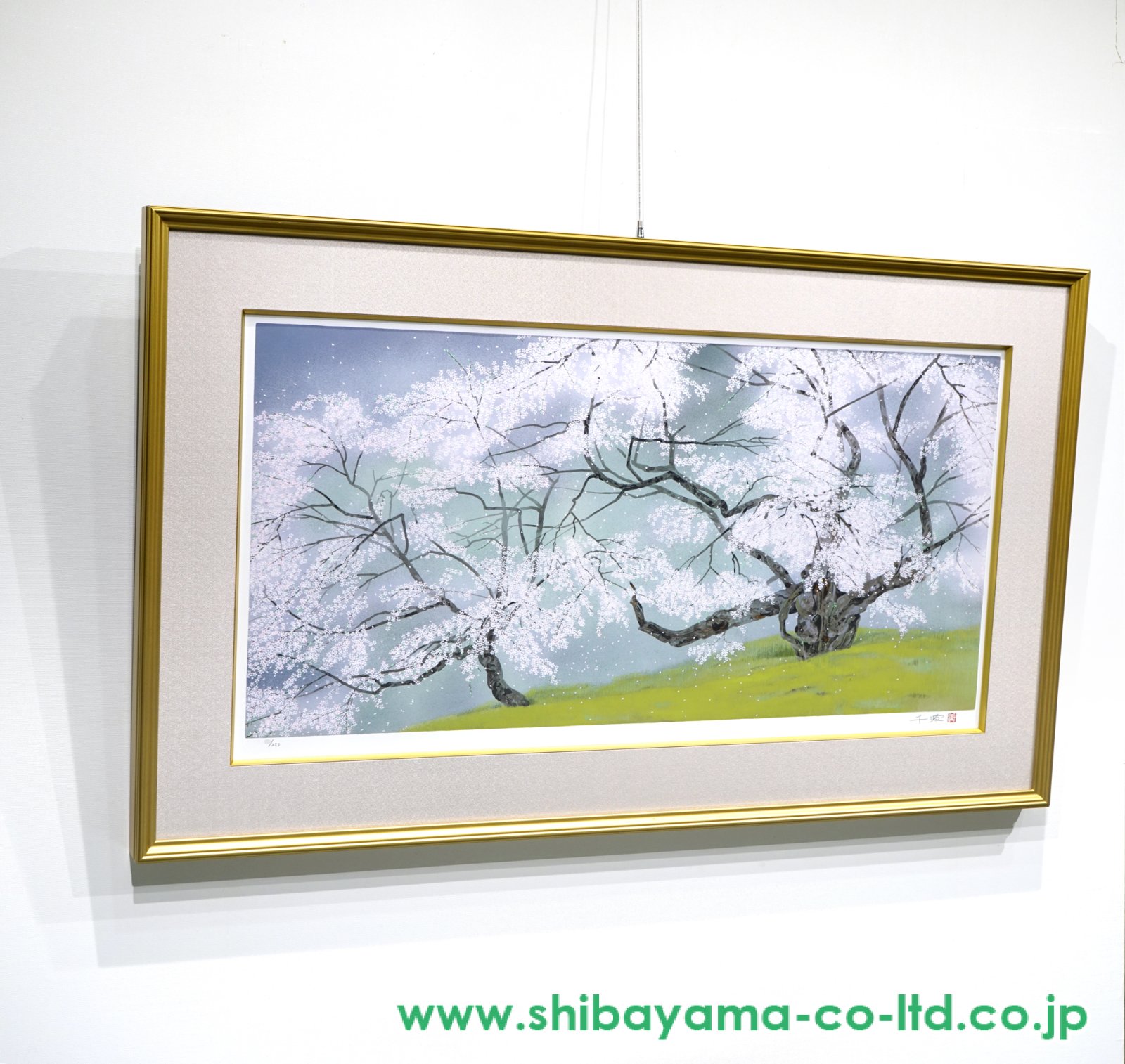 中島千波「臥龍桜」シルクスクリーン :: 絵画買取・販売 - シバヤマ