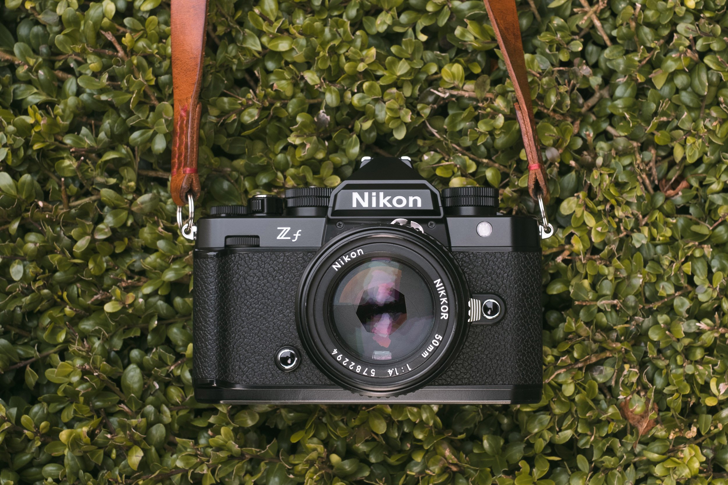 Nikon Nikkor 50mm f/1.4 AI-S and Nikon Zf | 5050 Travelog