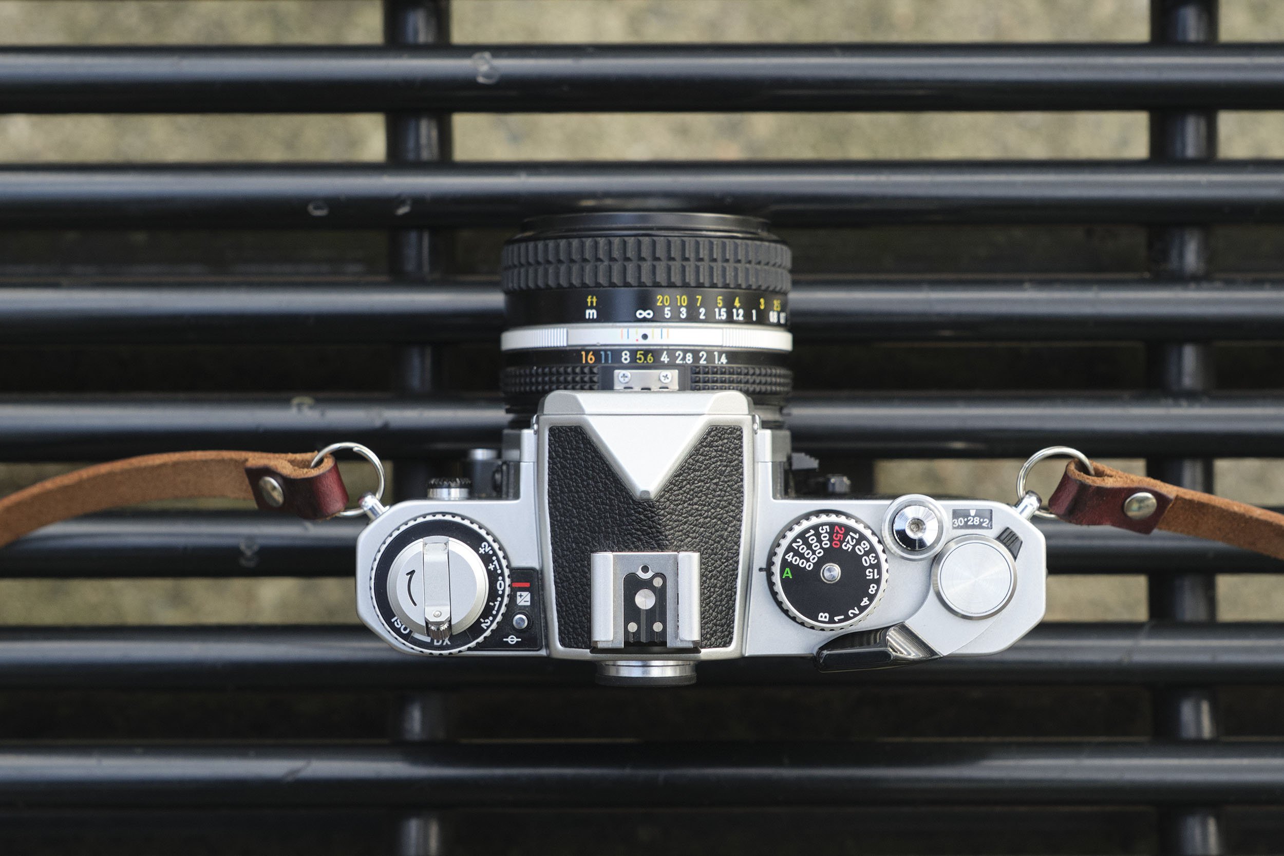 Nikon FM3a Review | 5050 Travelog