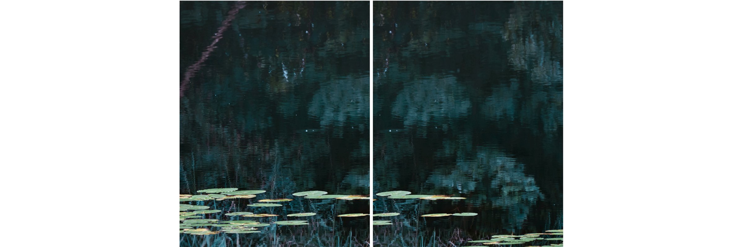 Galerie Nikolaus Ruzicska