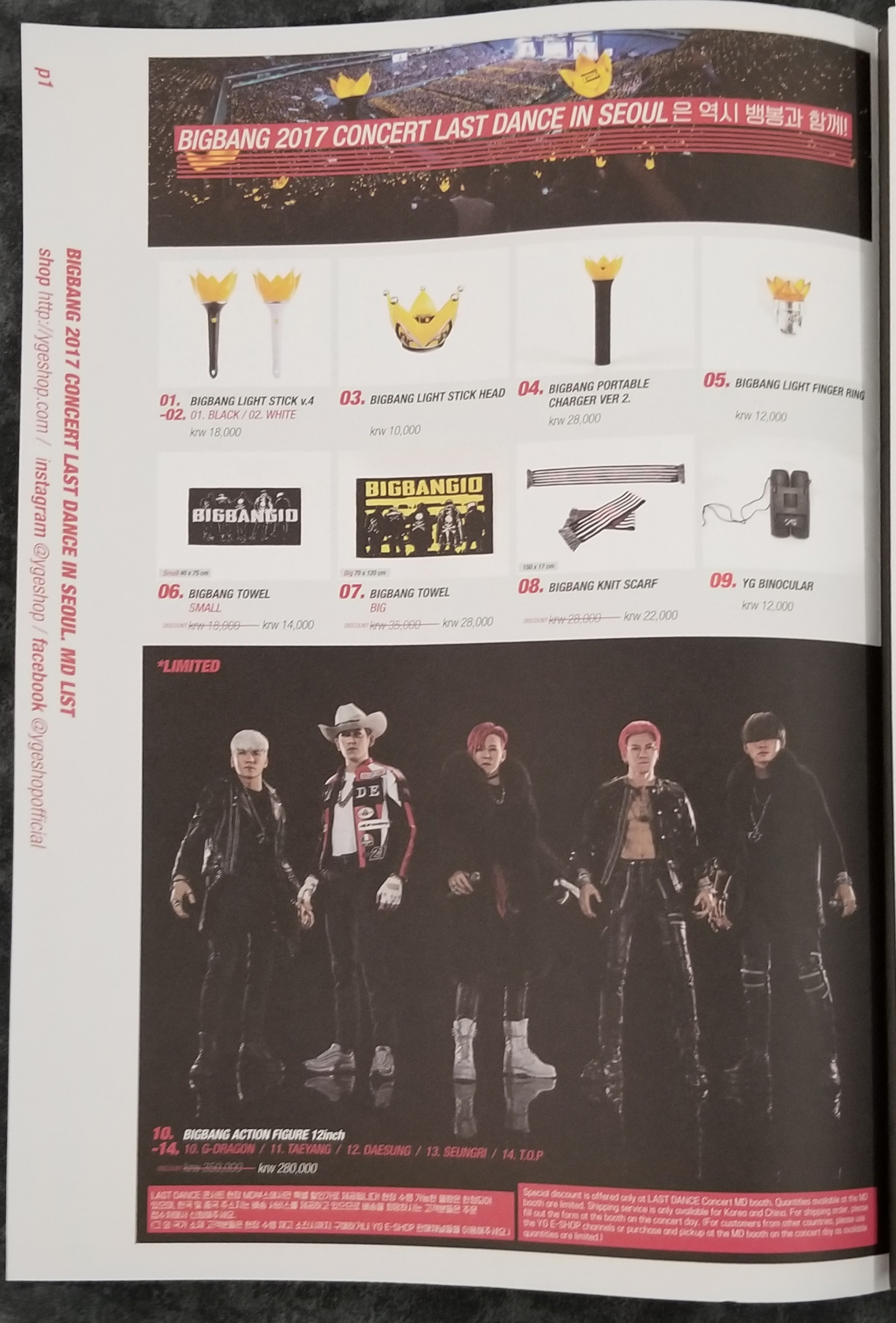 2017 - Last Dance in Seoul - Goods Brochure and moonshot Entry