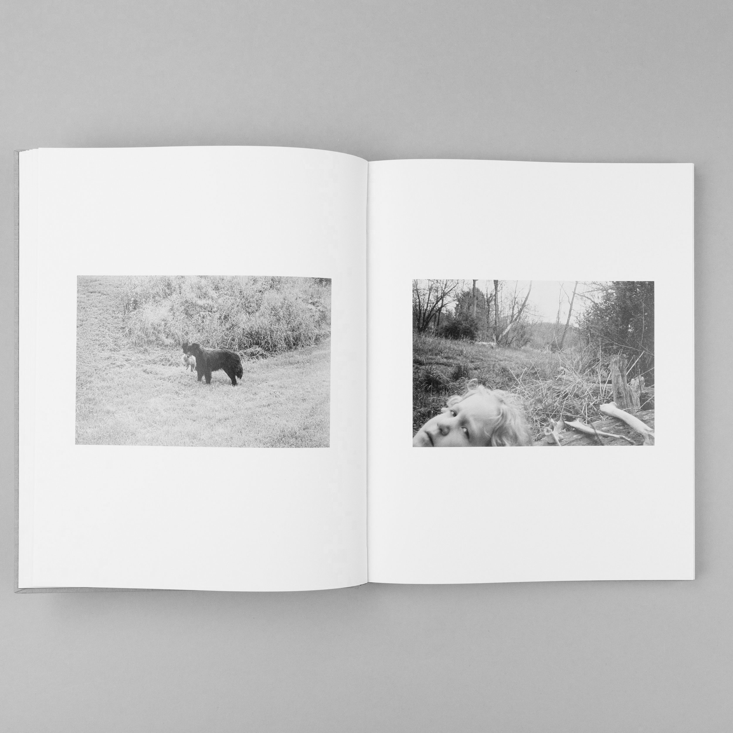 The Seraphim — Charcoal Press