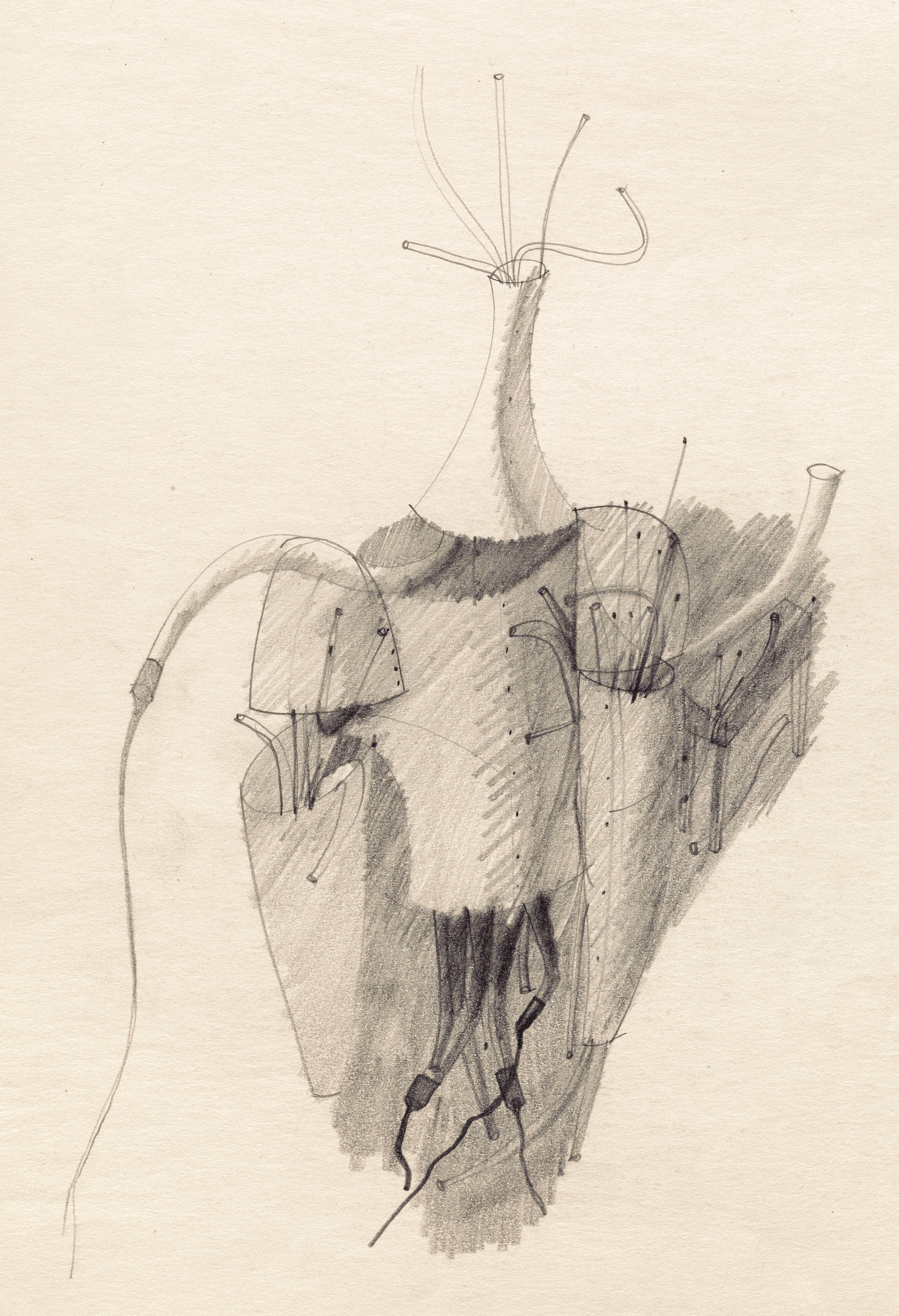 Paintings & Drawings — The Irving Penn Foundation