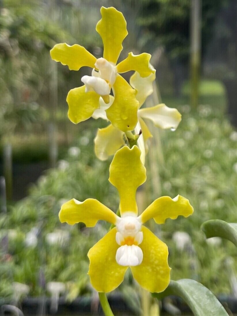 CDF1920C-C2CC-4C83-AF5E-