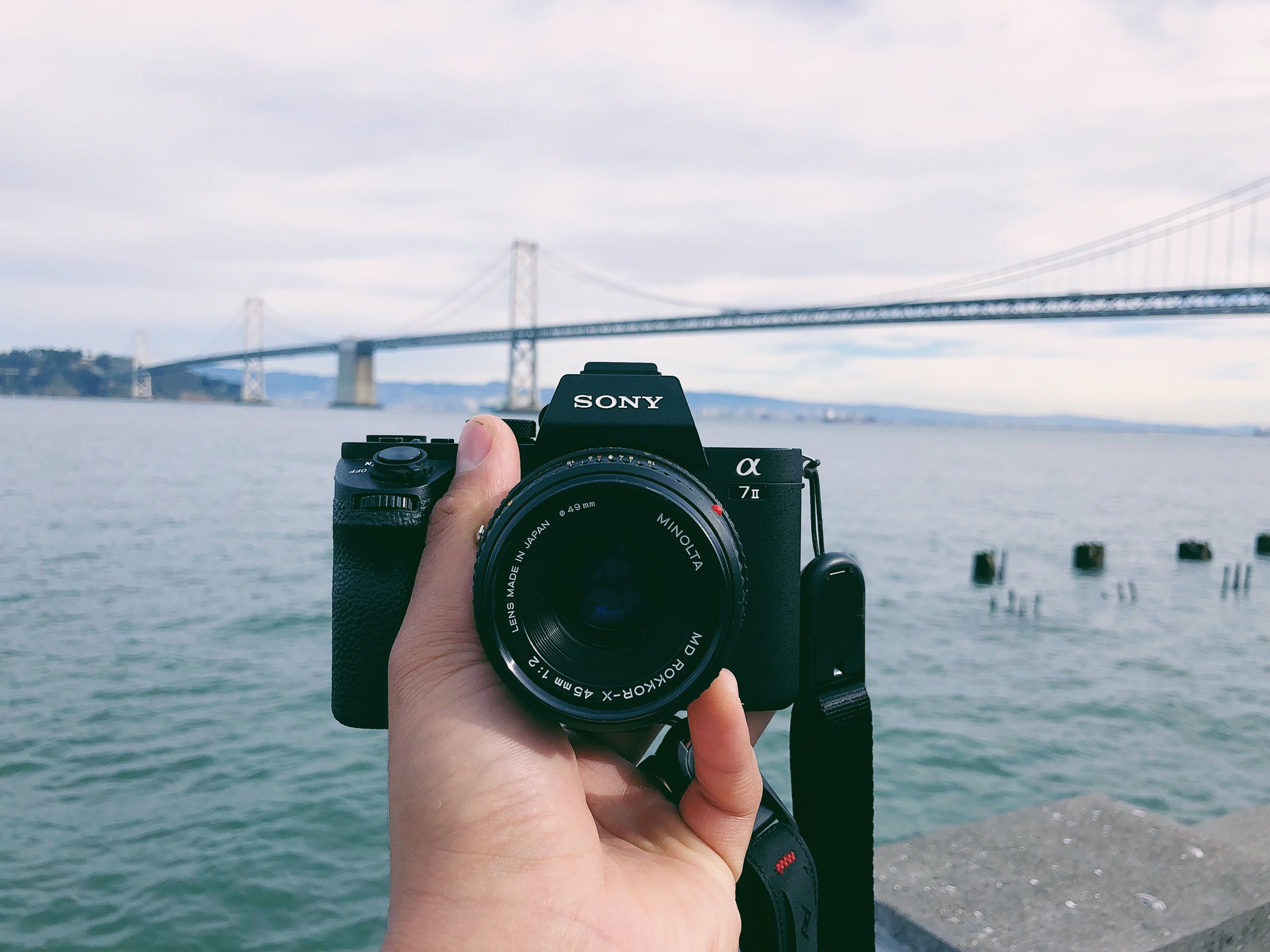 Minolta Rokkor 45mm F2 - THE BEST MINOLTA LENS! — KingJvpes