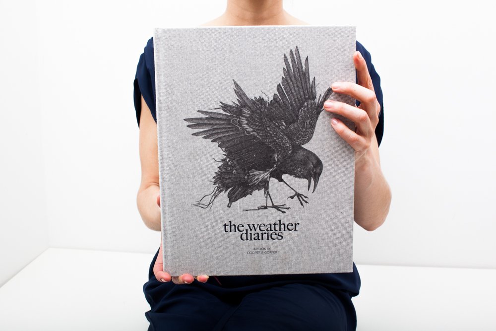 The Weather Diaries — Cooper Gorfer