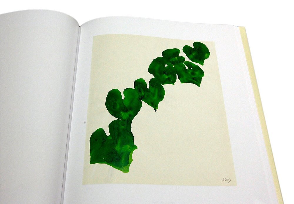 Ellsworth Kelly Plant Drawings — bookdummypress
