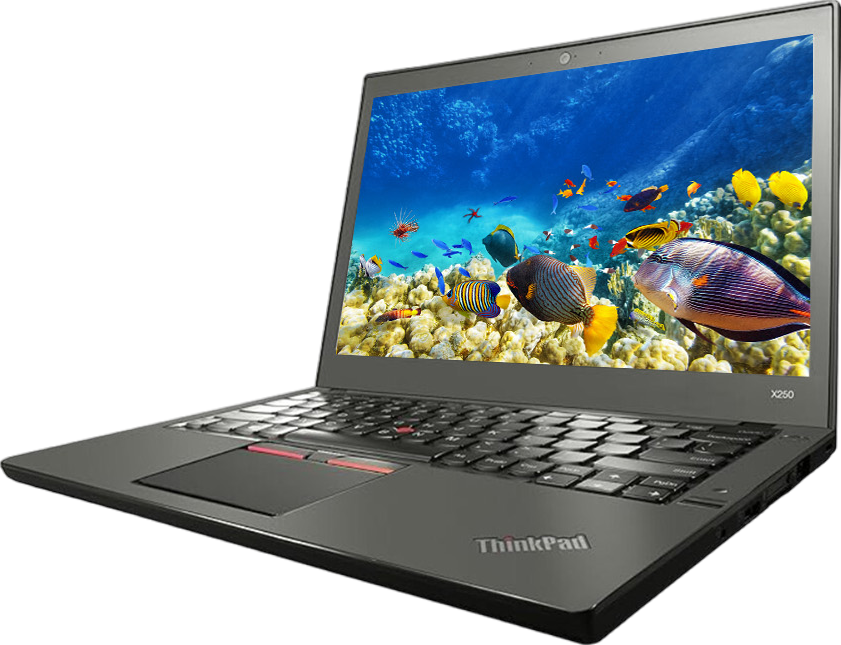 Lenovo ThinkPad X250 12.5