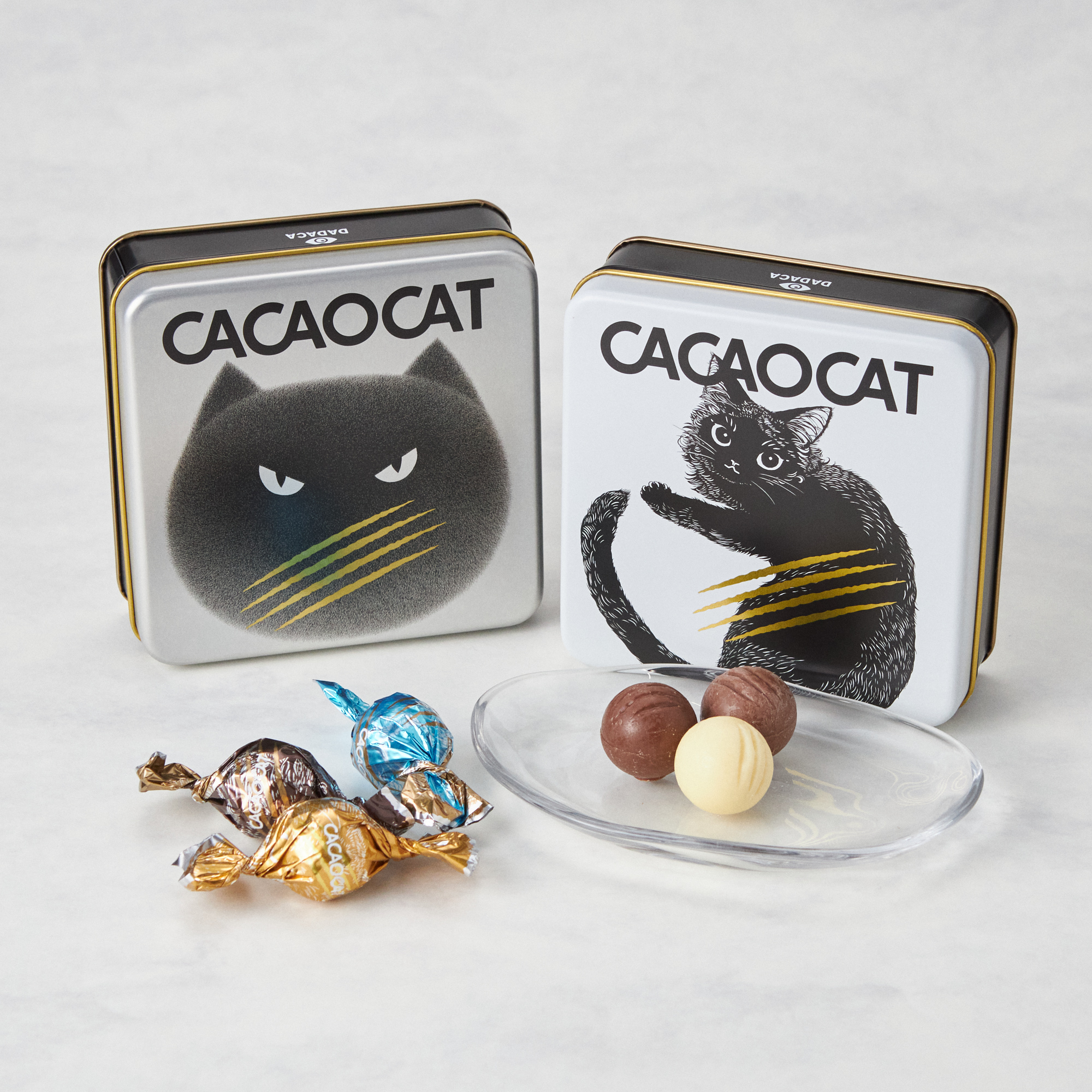 CACAOCAT 缶 ミックス 8 個入り | DADACA（ダダカ） TANP（タンプ）の