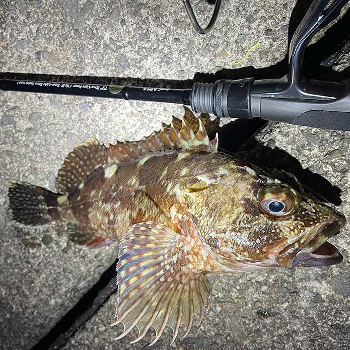 アピア グランデージ ライト 72をインプレ｜※もう1本買うほど気に入っ