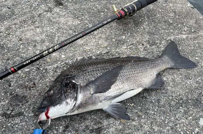 へちさぐり銀参郎アルティメイトを実釣インプレ！聖地“夢洲スリット”で