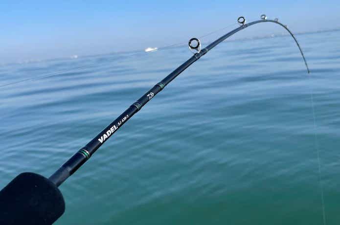 ヴァデルSJを実釣インプレ。1万円台で買えるスロー竿の実力とは
